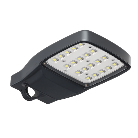Luminaria vial CITI 25 Magg 25W / 2,500lm / 5000K Gris L7590-6H0