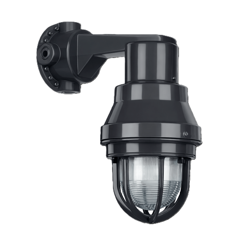 Portalámparas Industrial a Prueba de Explosión Entrada Conduit 19.0 mm Montaje a Pared Serie LE-PC RAWELT 27.26.4634.PC